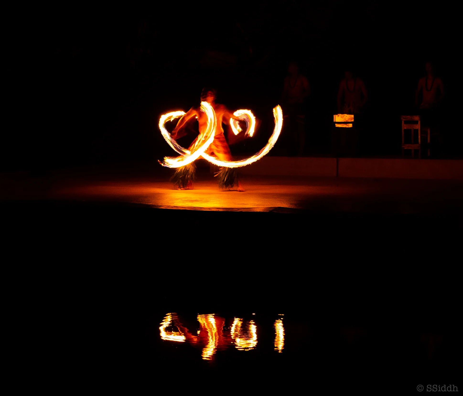 Wildlife and landscape photograph