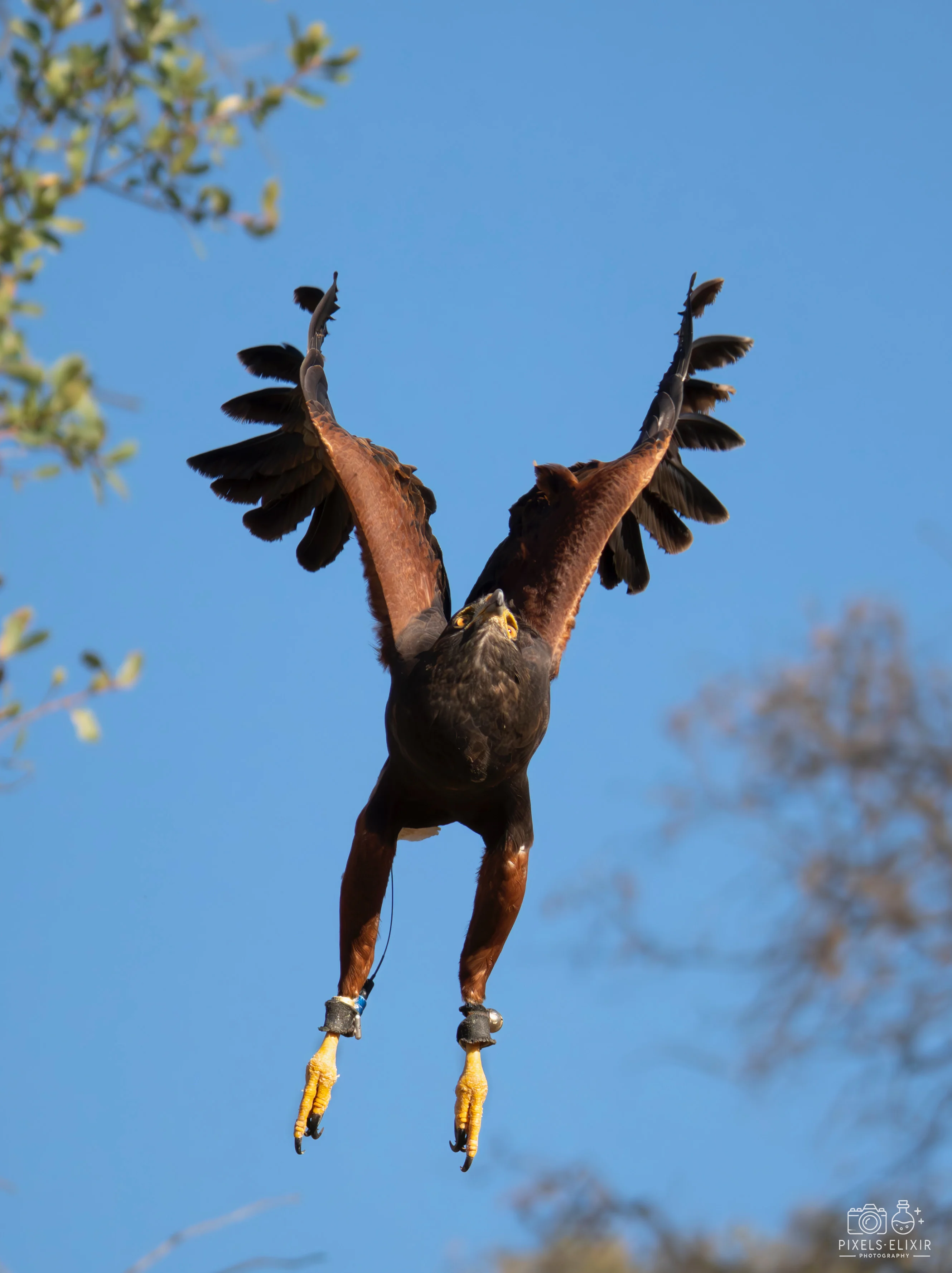 Wildlife and landscape photograph