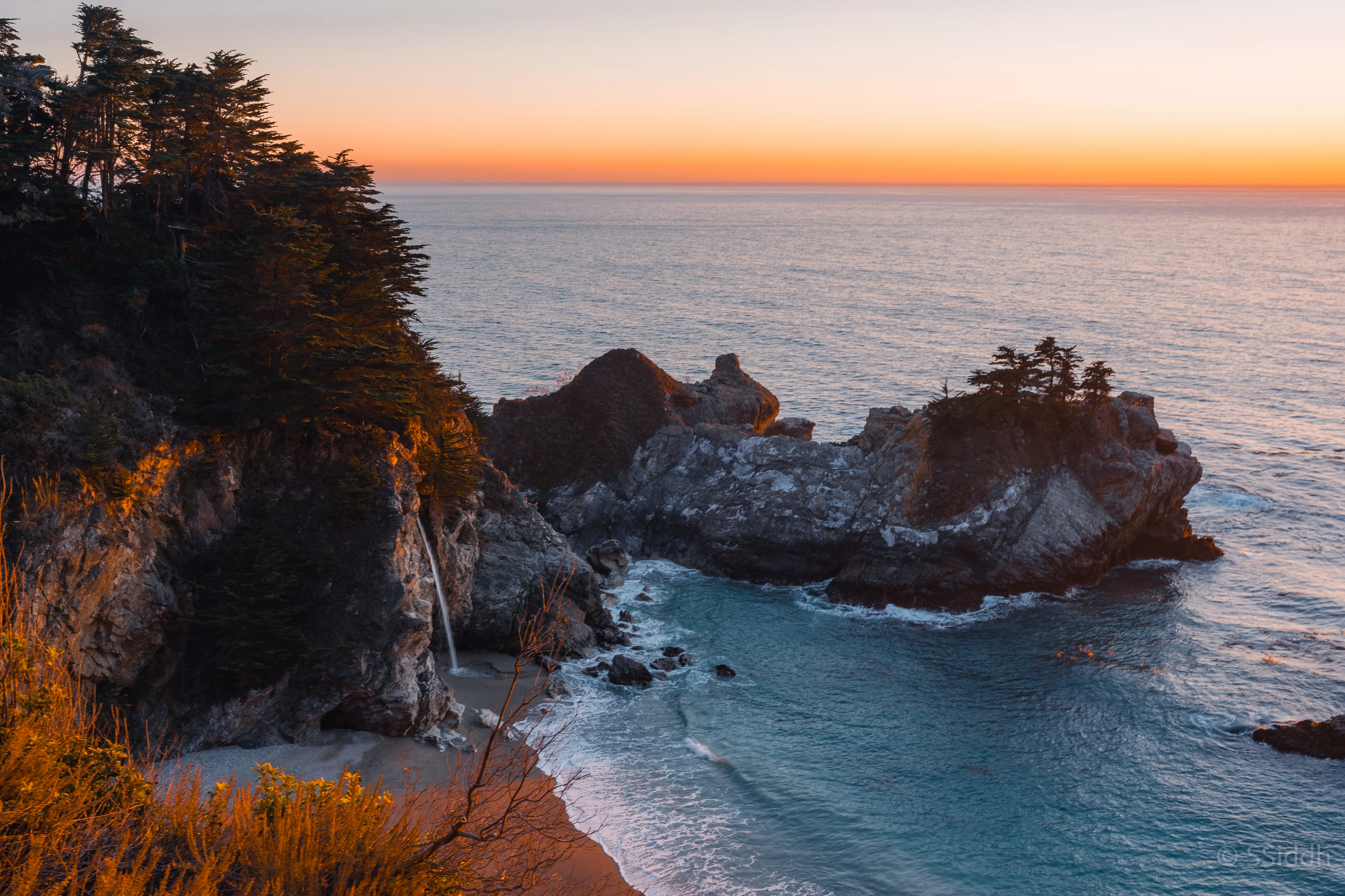 Wildlife and landscape photograph