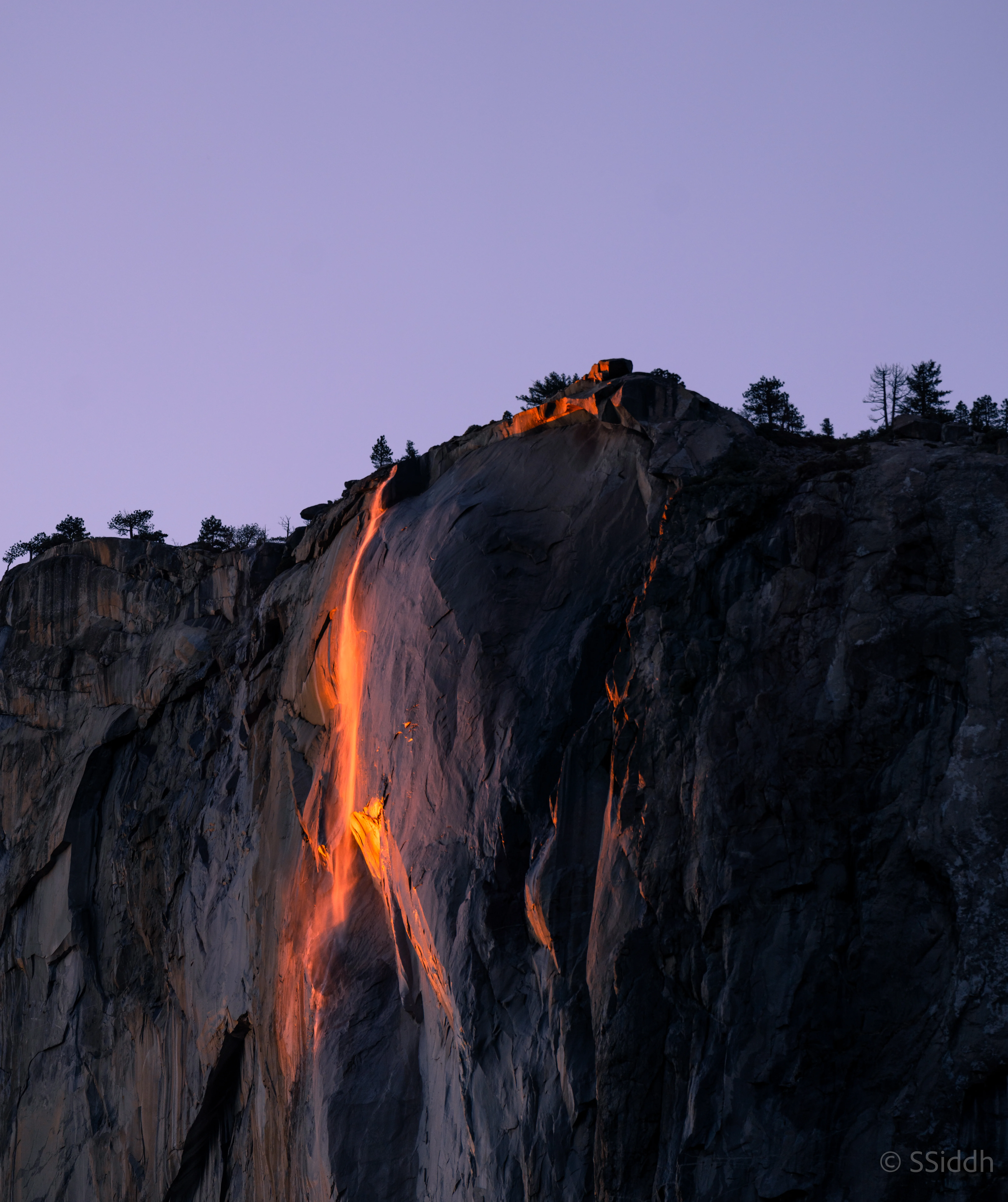 Wildlife and landscape photograph