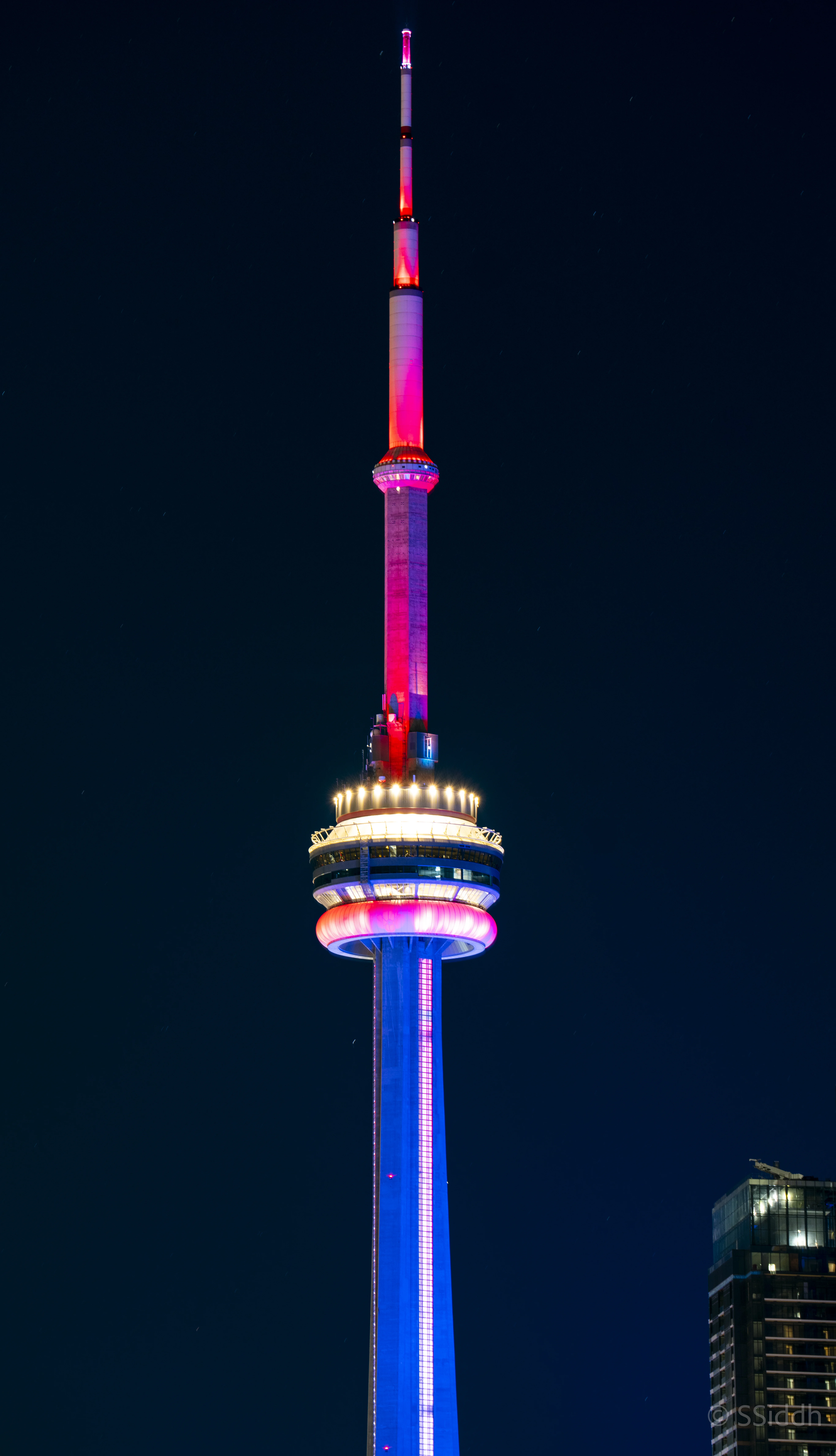 Wildlife and landscape photograph