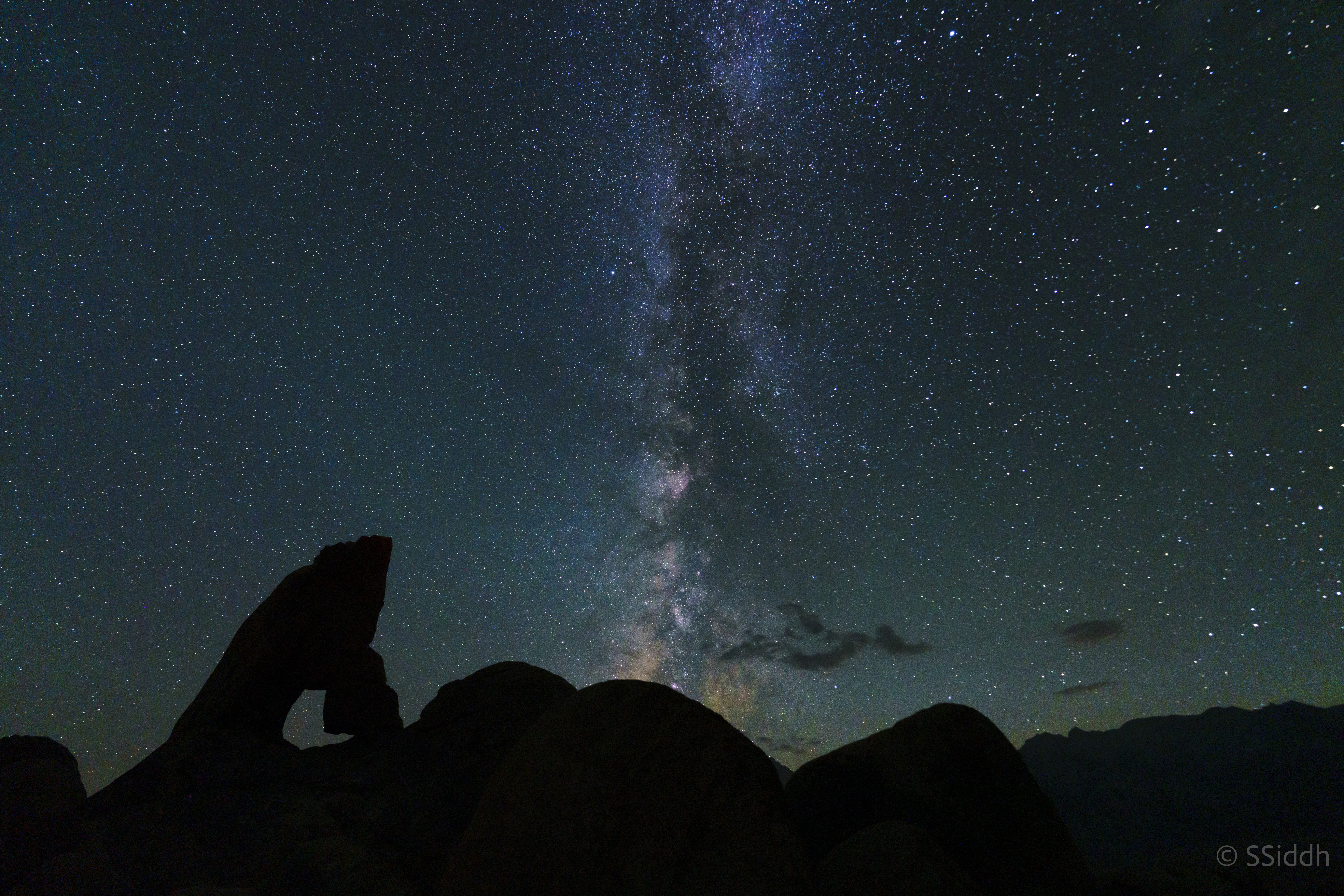 Wildlife and landscape photograph